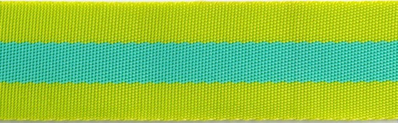 Lime and Turquoise - 1.5