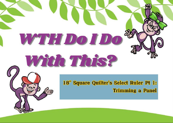 WTH Do I Do With This? 18