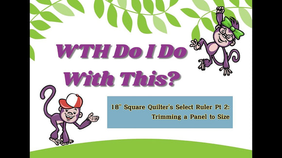 WTH Do I Do With This? 18