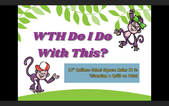 WTH Do I Do With This? 18