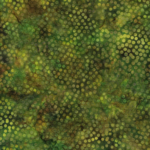 Spots Green Brown Pinecone