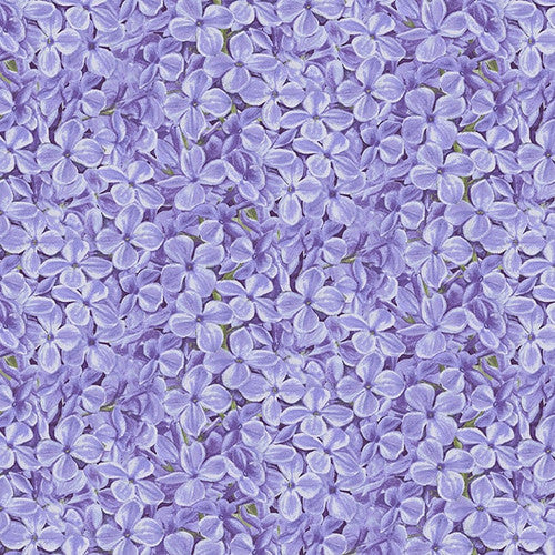 Boomerang Packed Flowers