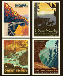 National Park Pillow Panel