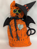 Tiggy Witch Kitty Kit