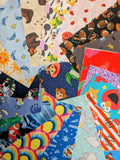 Eye Spy Quilt Kit Carolina Shop Hop 2026