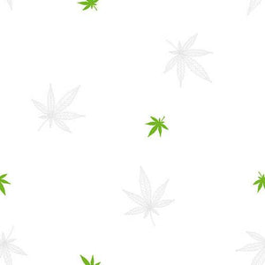 Cannabis Leaves on White