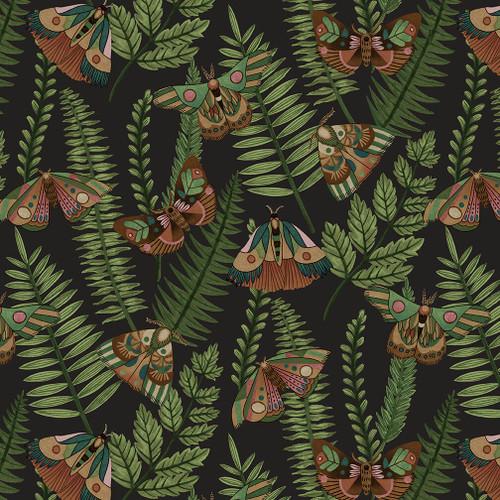Dark Forest Moths and Ferns