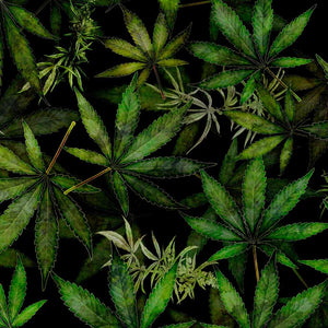 Happy Harvest Cannabis Leaves Black Flat Fold