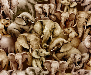 Jangala Elephants