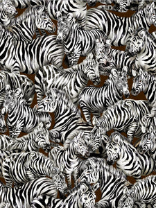 Jangala Zebras