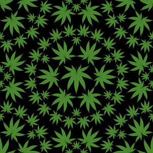 Large Cannabis Leaves on Black