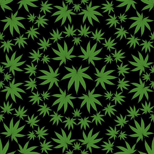 Large Cannabis Leaves on Black