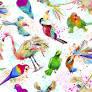 Tropical Birds Vibrant
