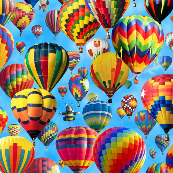 Up In The Air Hot Air Balloons