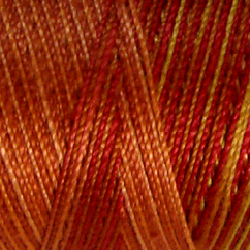 Variegated Pearl Cotton Autumn M37